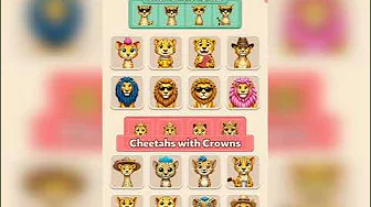 Connect Master Level 355