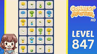 Connect Master Level 847