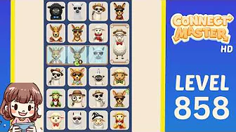 Connect Master Level 858