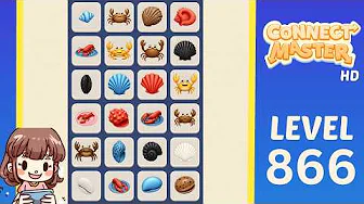 Connect Master Level 866