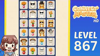 Connect Master Level 867